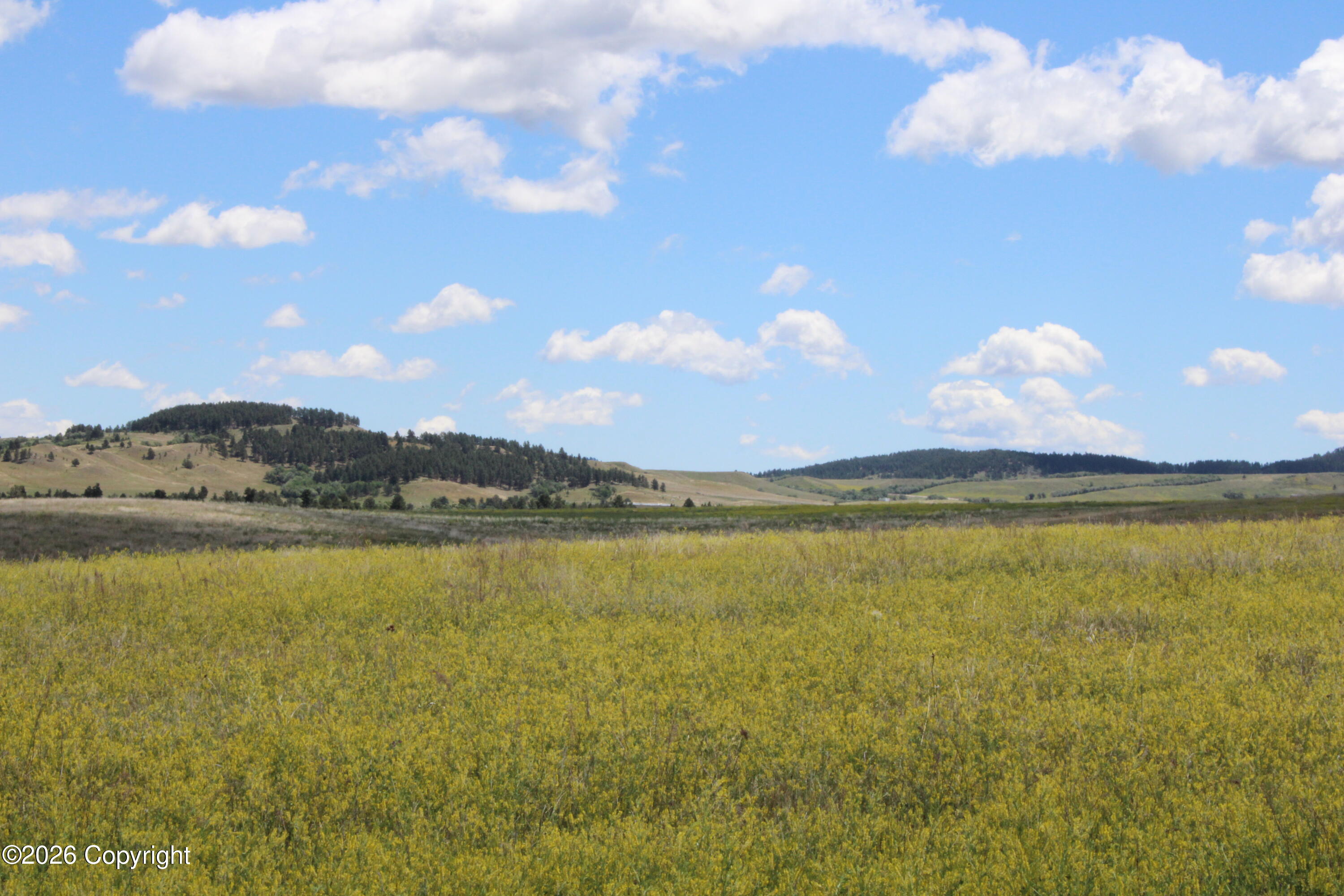 9 River Road Alva, WY 82711 - Photo 12 of 43 Gallery Image 12