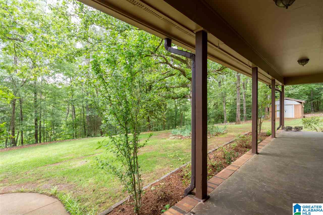 2450 Mcelderry Road Munford, AL 36268 - Photo 39 of 50