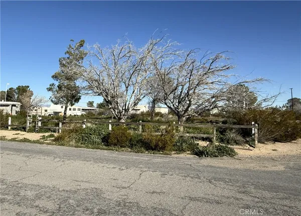a view of road and trees