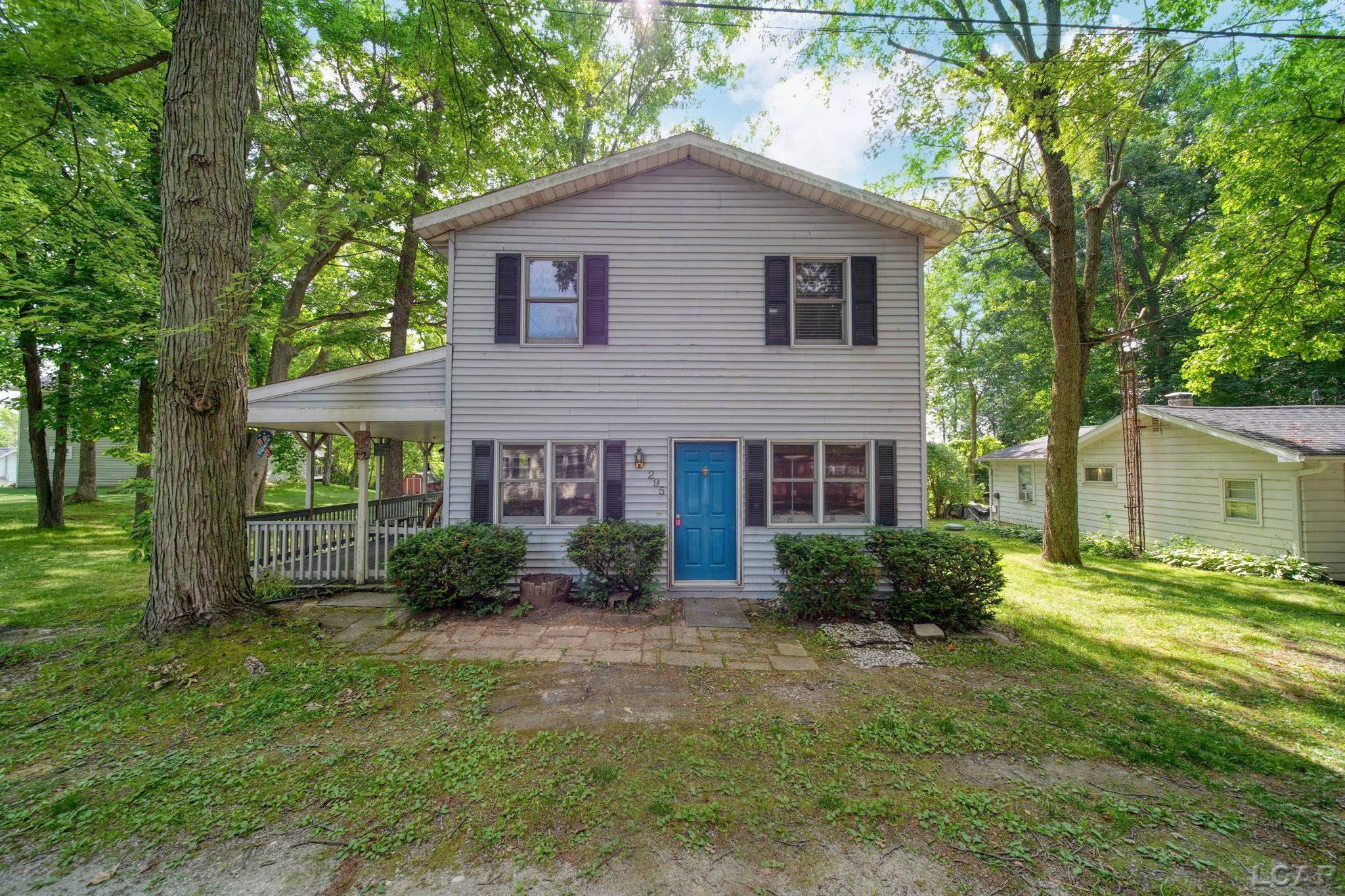 295 Ridgeway Drive Brooklyn, MI 49230 - Photo 3 of 49