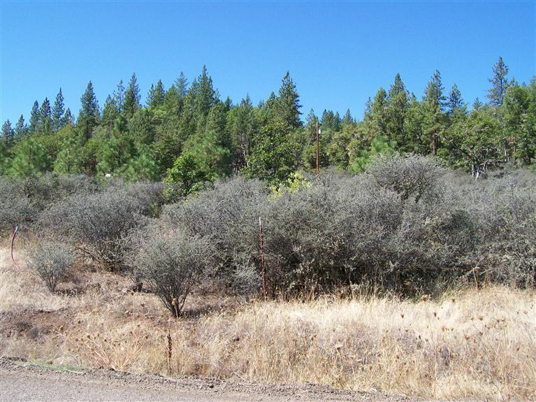 0 Crowfoot Road Eagle Point, OR 97524 - Photo 4 of 4 Additional Photo
