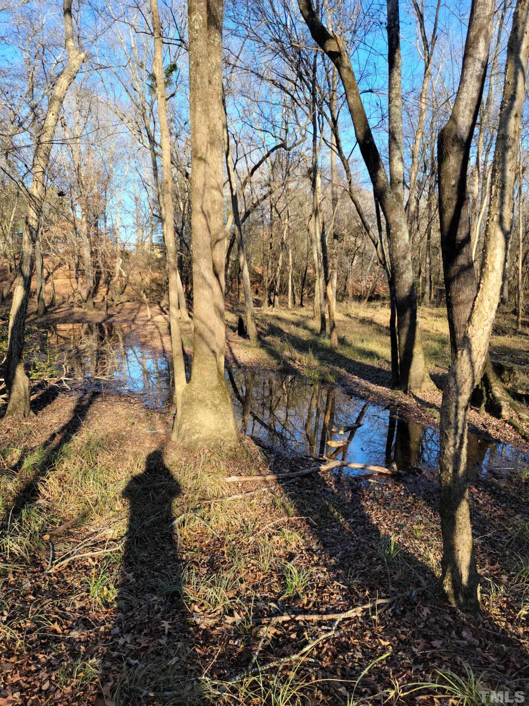 1845 Crantock Road Smithfield, NC 27577 - Photo 2 of 9