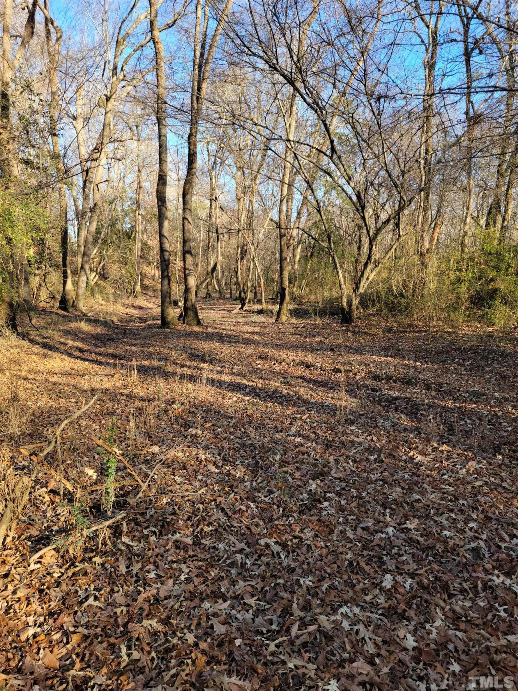 1845 Crantock Road Smithfield, NC 27577 - Photo 3 of 9