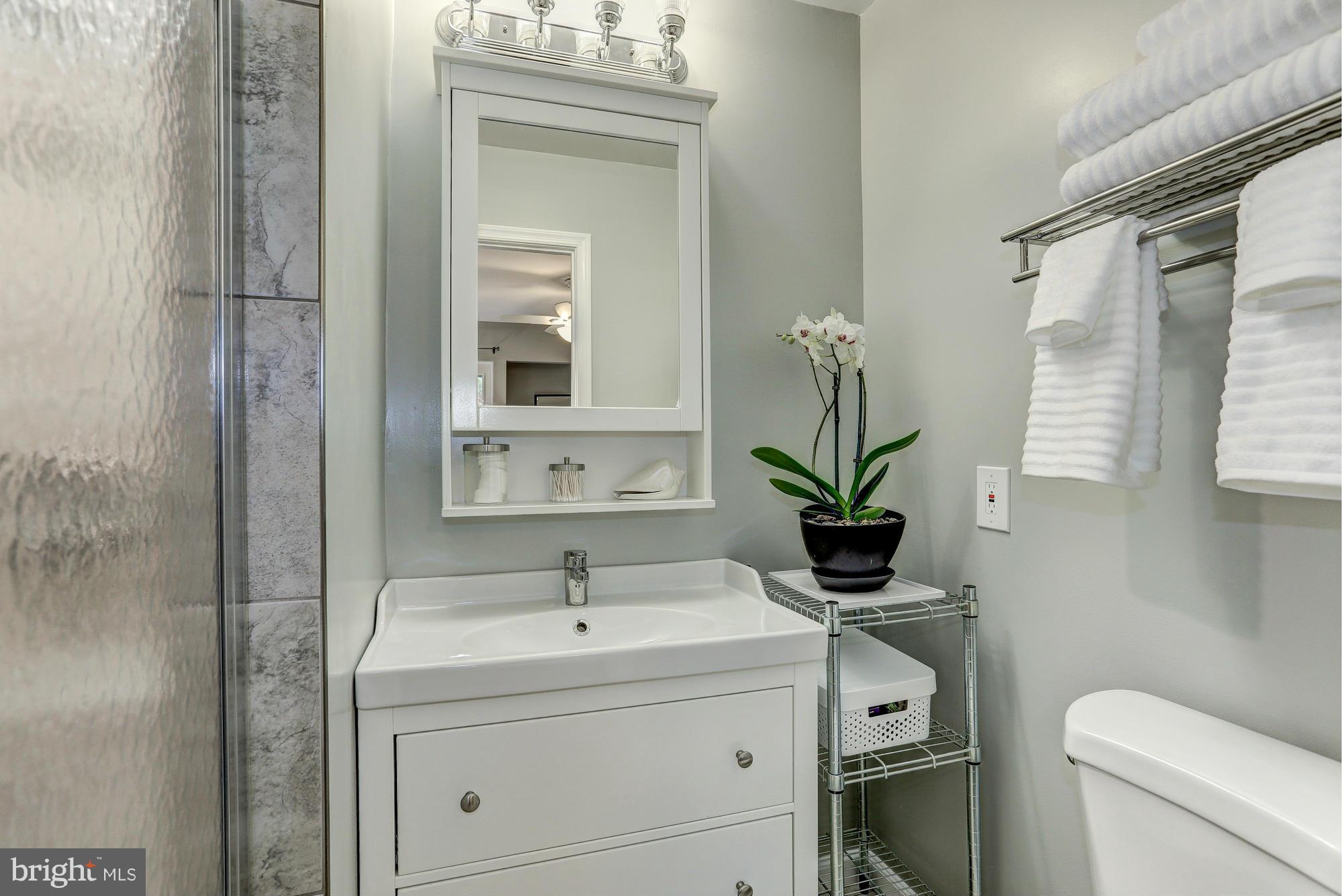 1715 Wainwright Drive Reston, VA 20190 - Photo 14 of 30 Bath (Master)