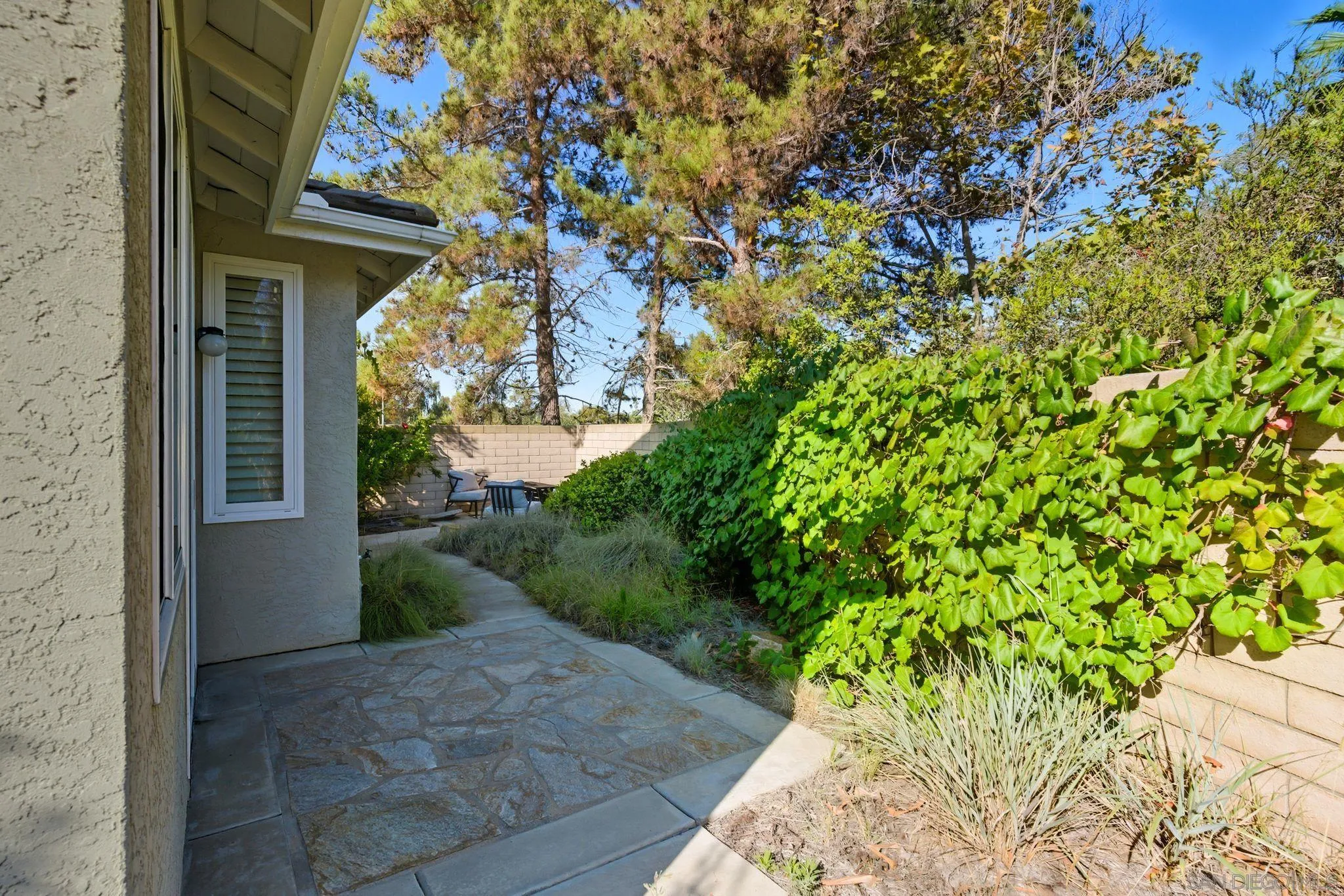 1802 Key Largo Road Vista, CA 92081 - Photo 9 of 24 a view of a yard with plants