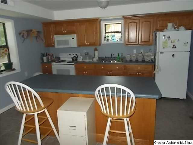 1717 Old Houston Road Arley, AL 35541 - Photo 10 of 13