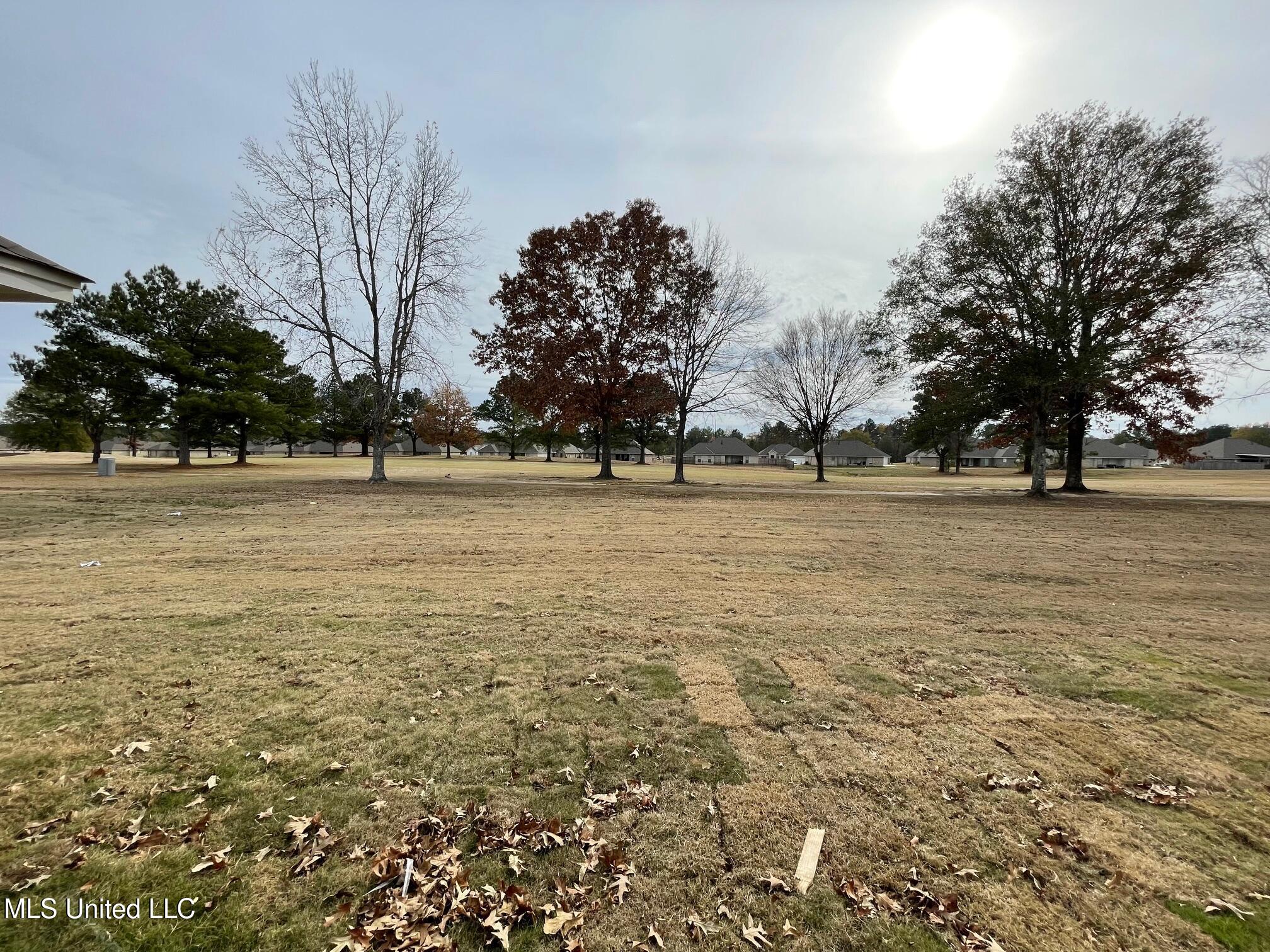 561 Patrick Farms Drive Pearl, MS 39208 - Photo 10 of 10 IMG_1562