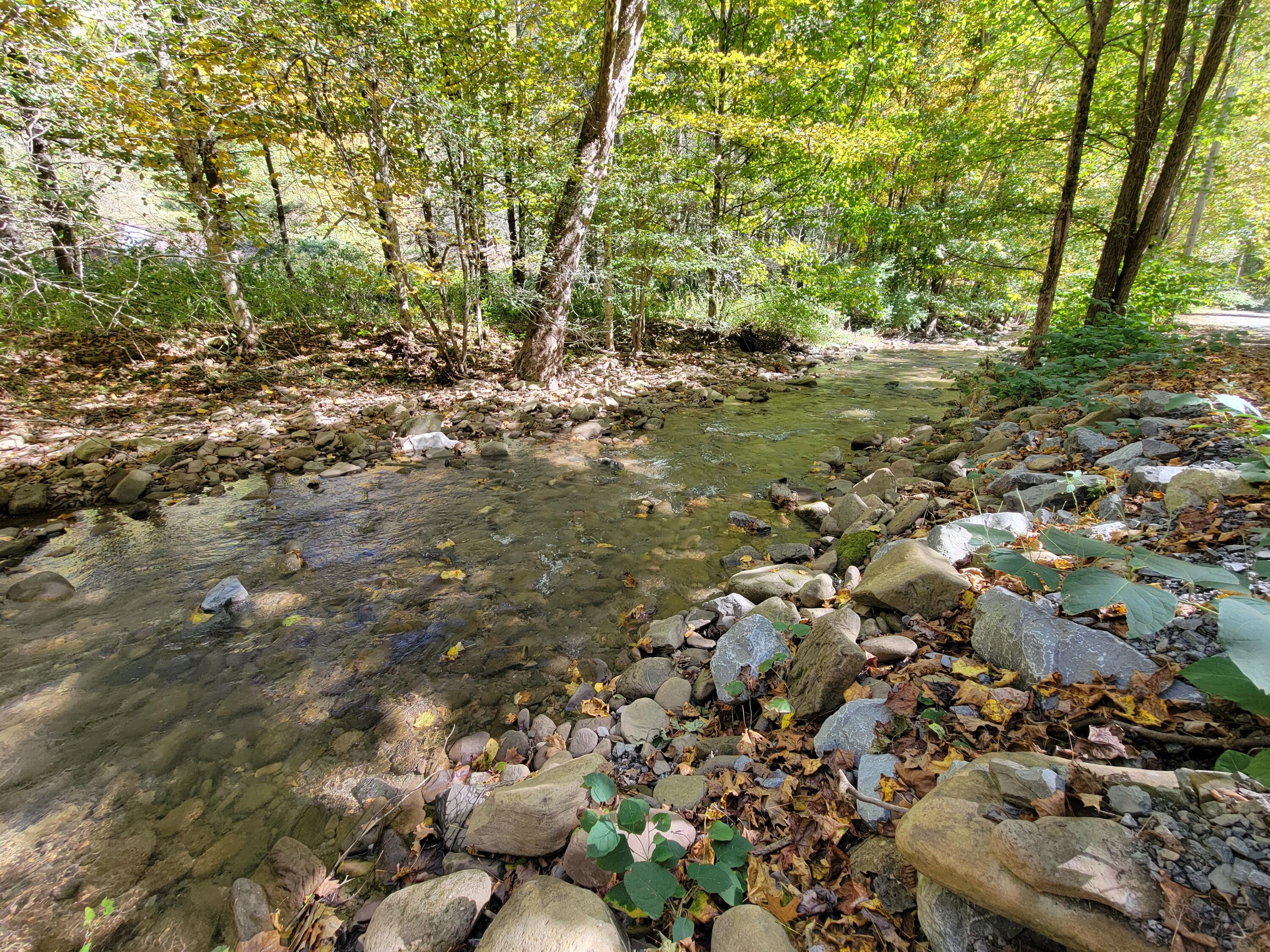 Robins Fork Road Renick, WV 24966 - Photo 1 of 34 Gallery Image 1