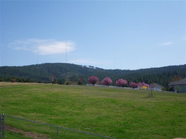 4604 South Dyer Road Spokane, WA 99223 - Photo 8 of 9