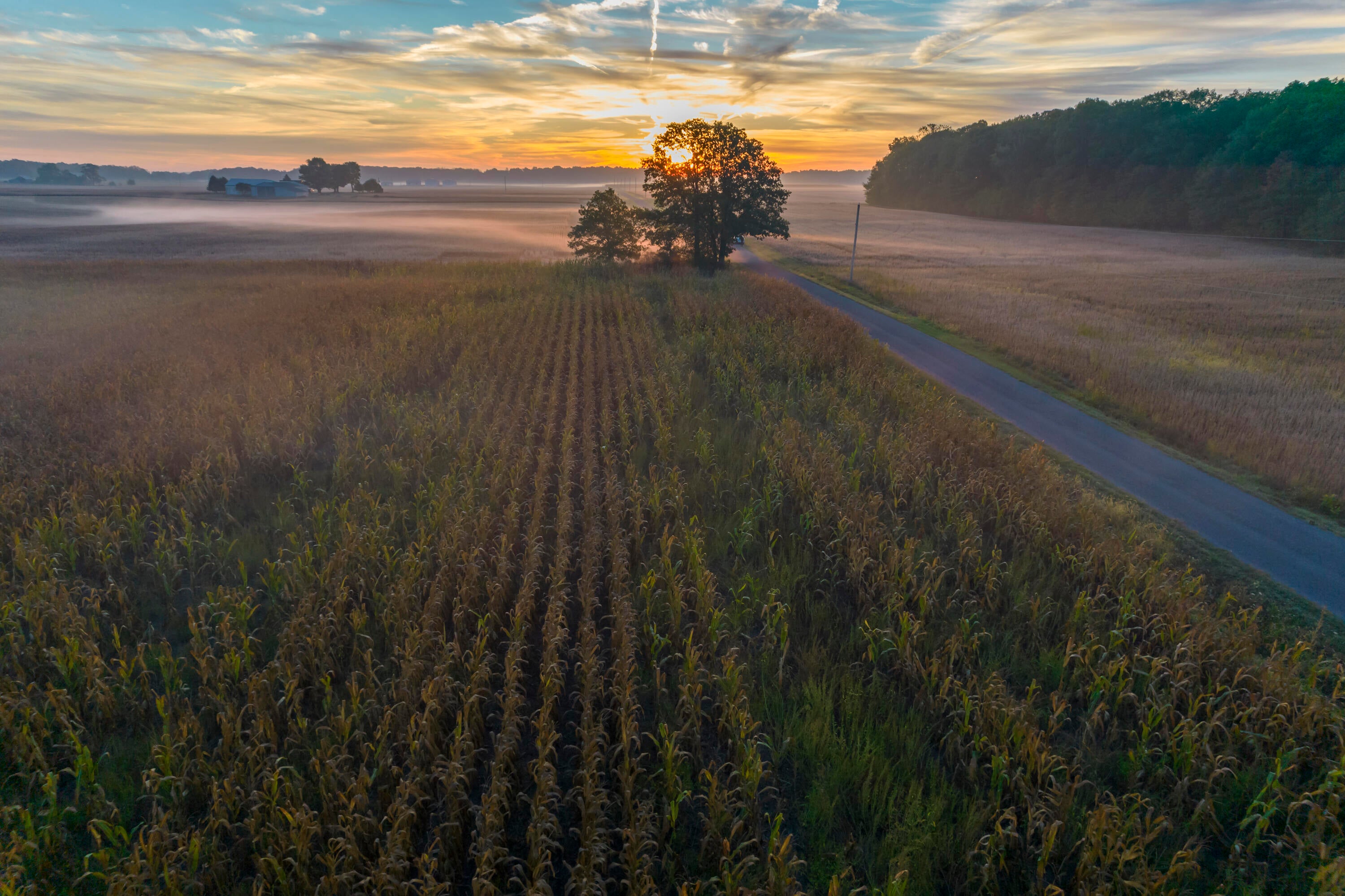 0 G Road Edon, OH 43518 - Photo 6 of 30 DJI_0991