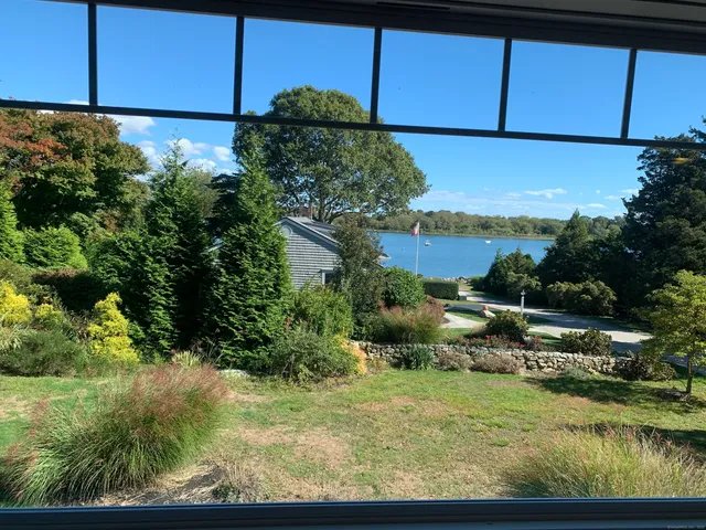 a view of a backyard