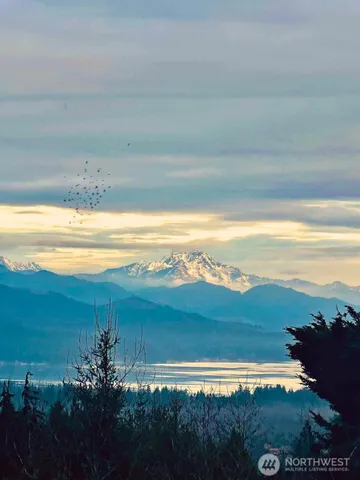 a view of an ocean and beach