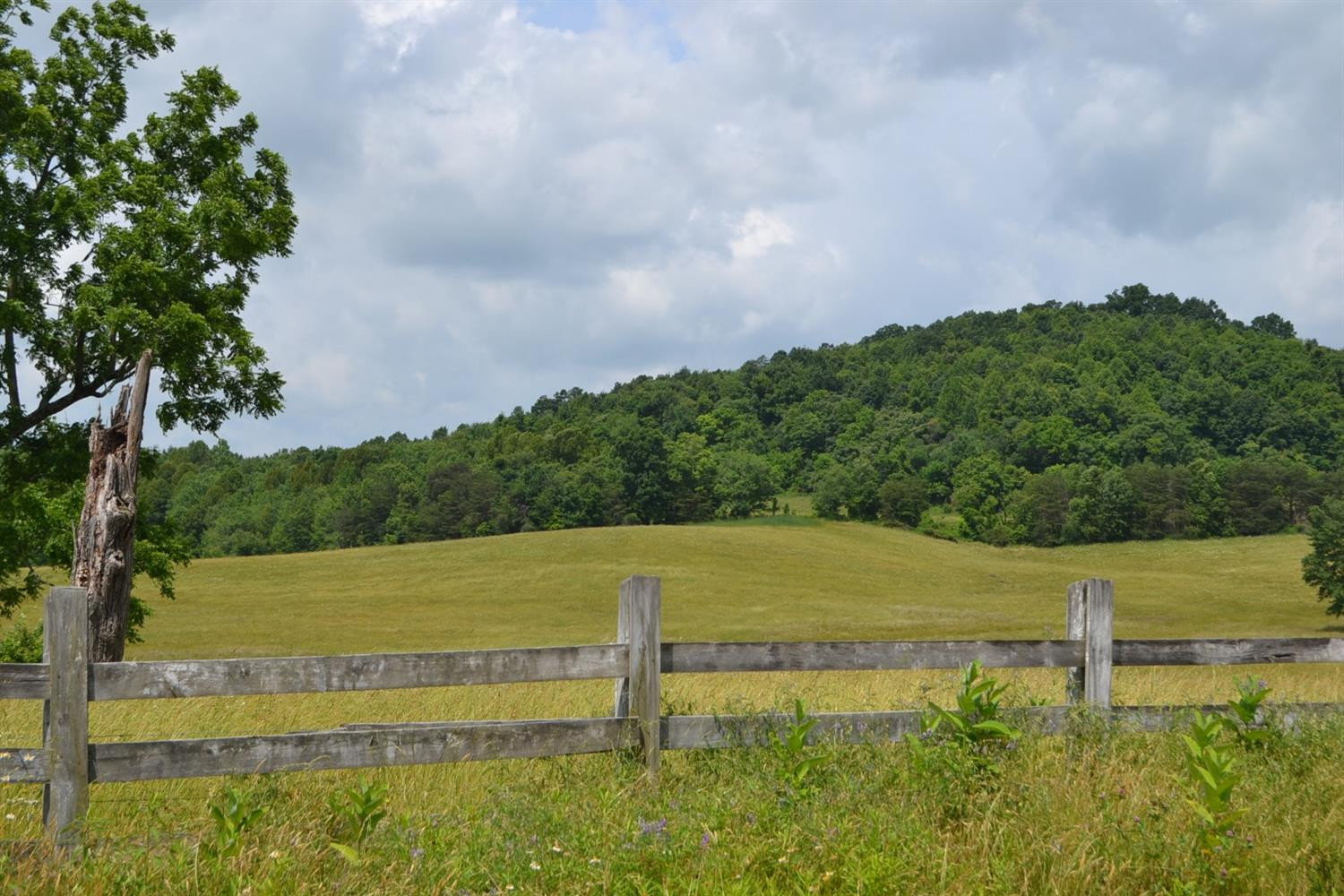 111 Barbourville Road London, KY 40744 - Photo 6 of 15 Listing Photo