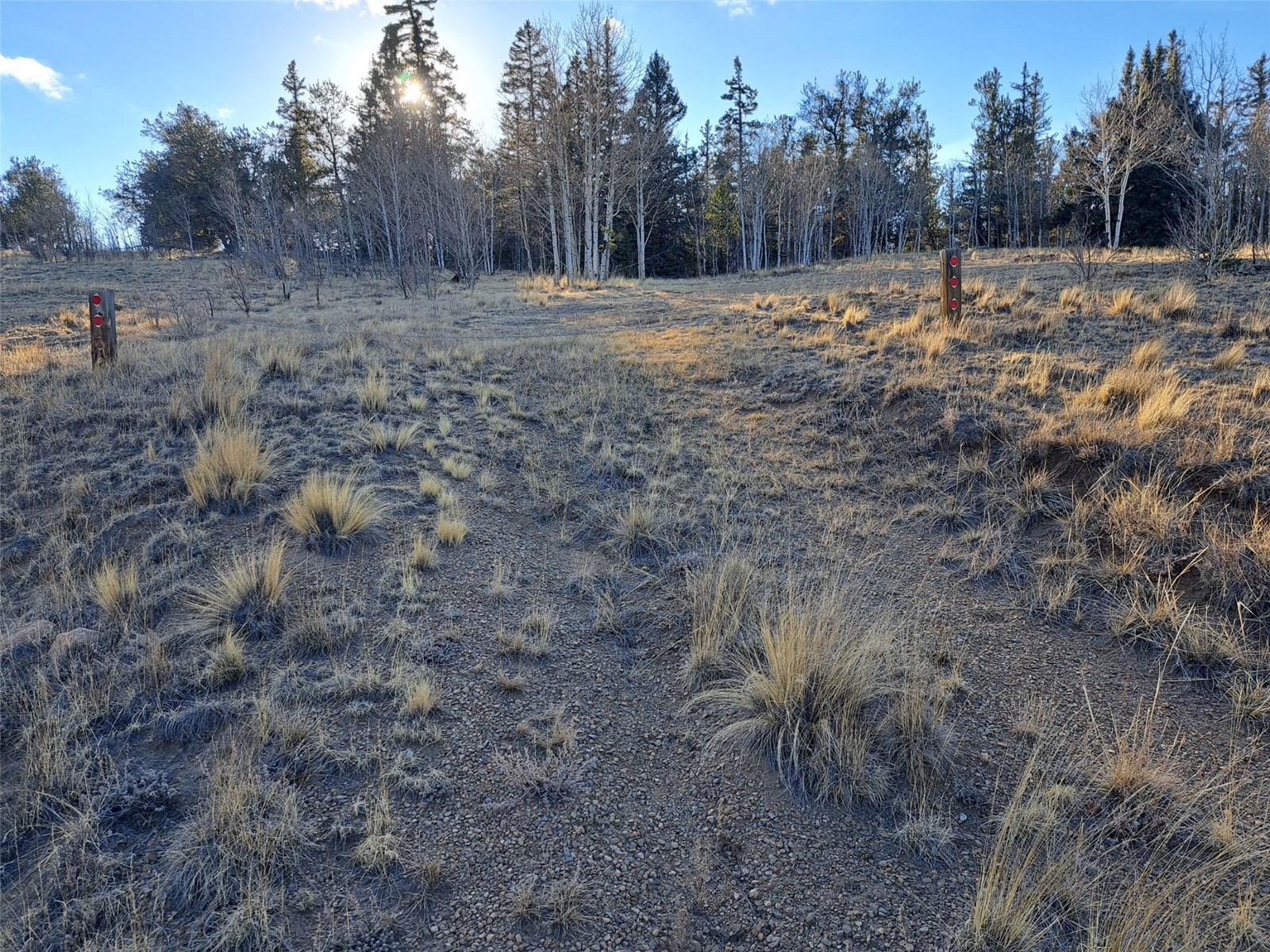 1645 Chippewa Road Como, CO 80456 - Photo 11 of 30