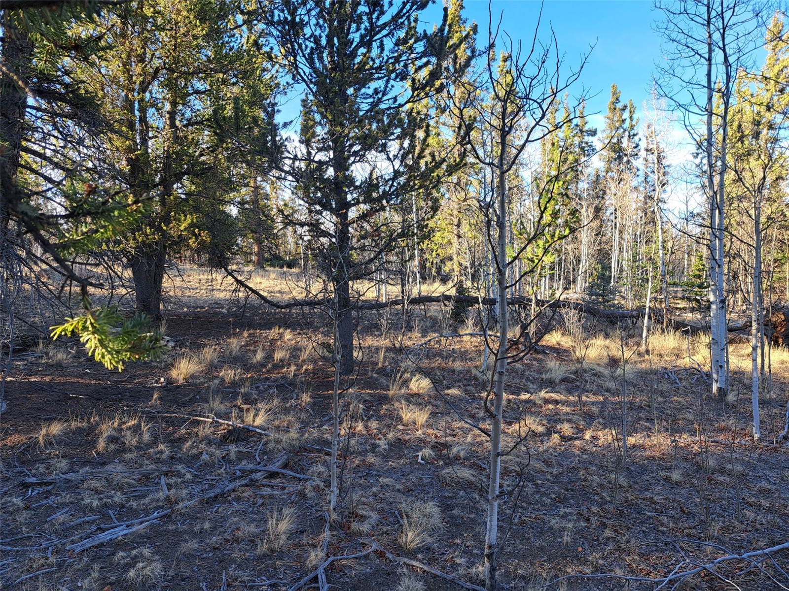 1645 Chippewa Road Como, CO 80456 - Photo 13 of 30