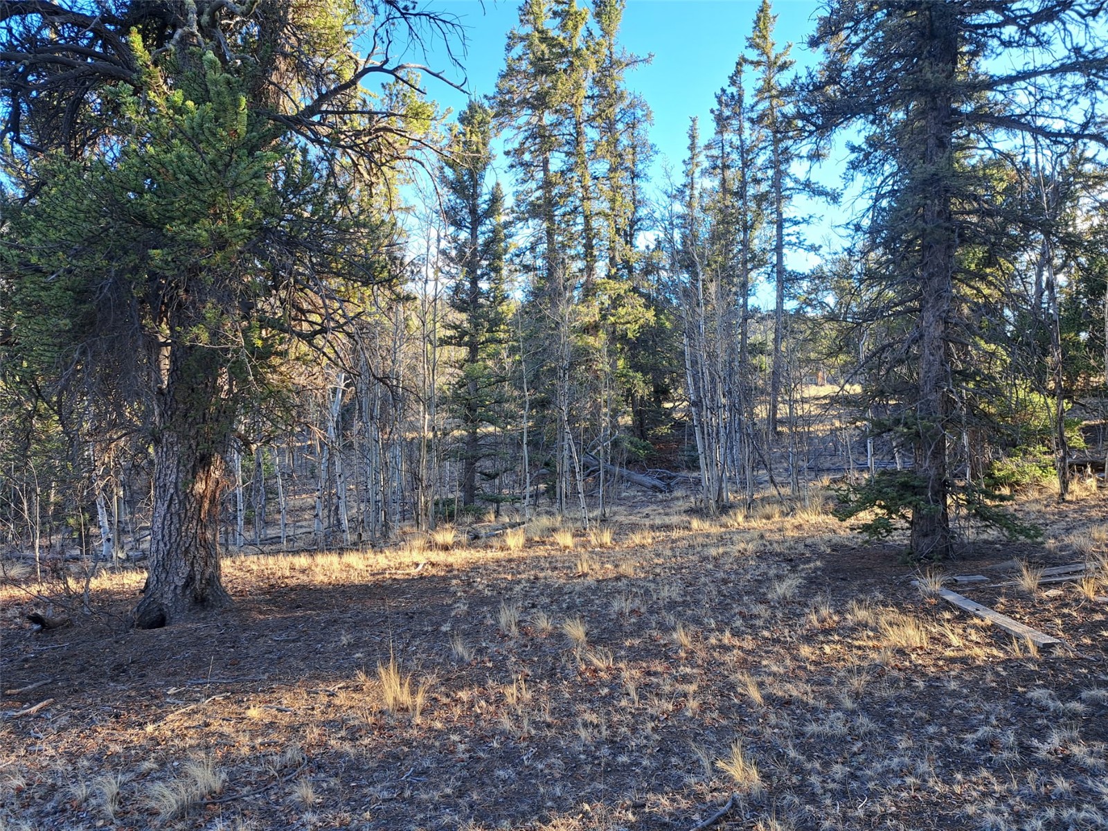 1645 Chippewa Road Como, CO 80456 - Photo 14 of 30