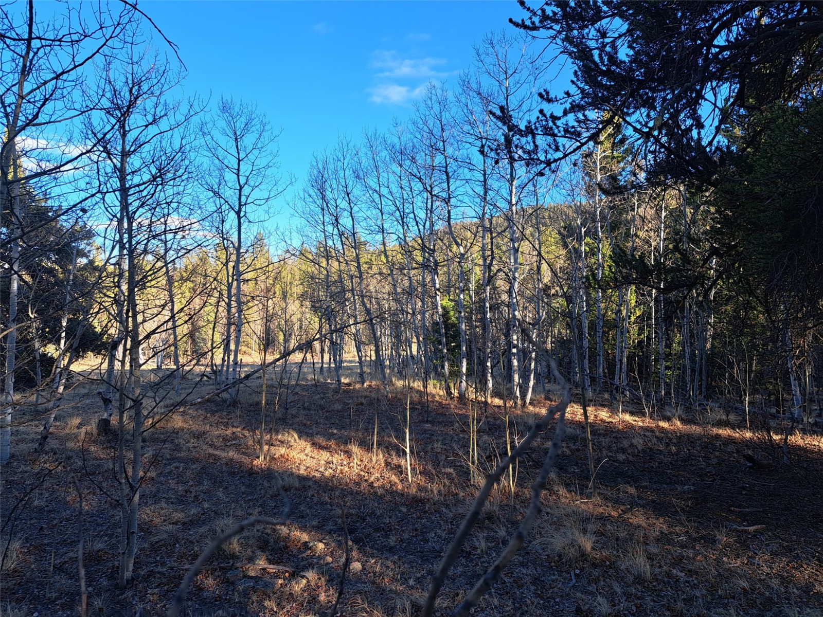 1645 Chippewa Road Como, CO 80456 - Photo 15 of 30