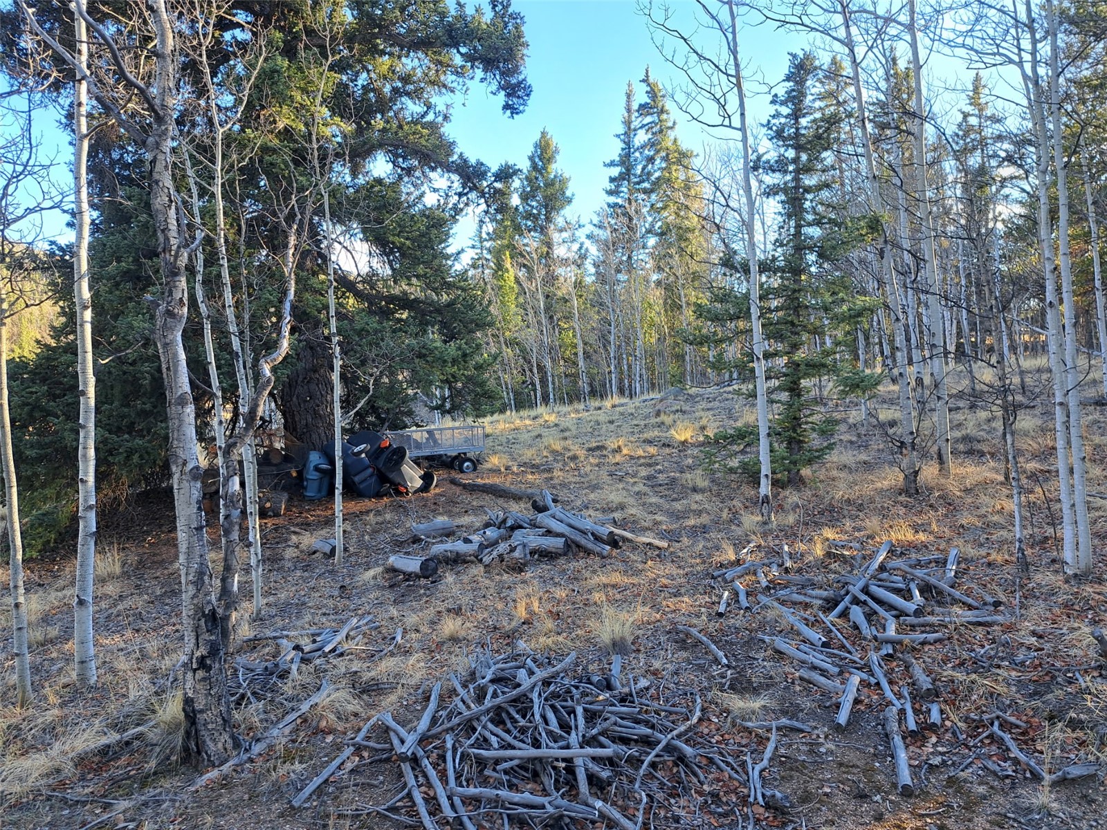 1645 Chippewa Road Como, CO 80456 - Photo 18 of 30