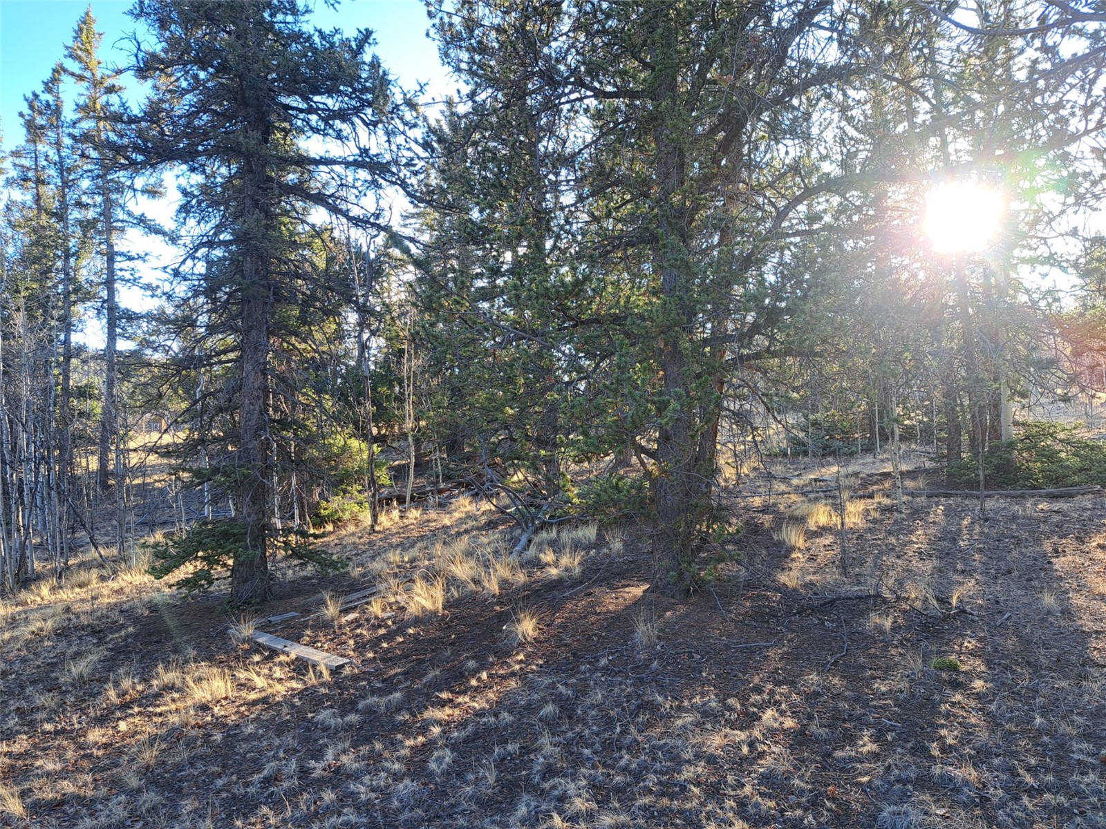 1645 Chippewa Road Como, CO 80456 - Photo 20 of 30