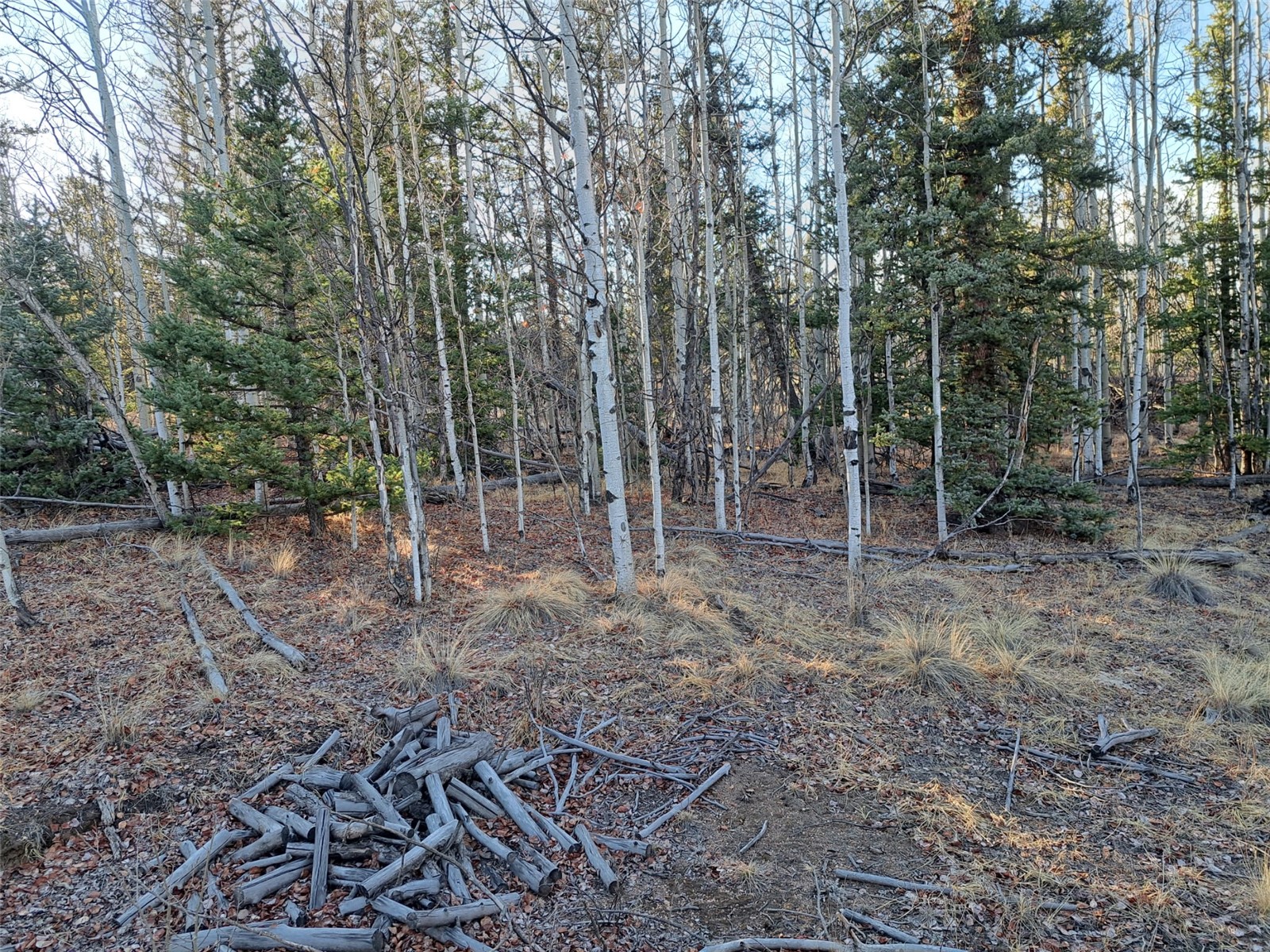 1645 Chippewa Road Como, CO 80456 - Photo 21 of 30