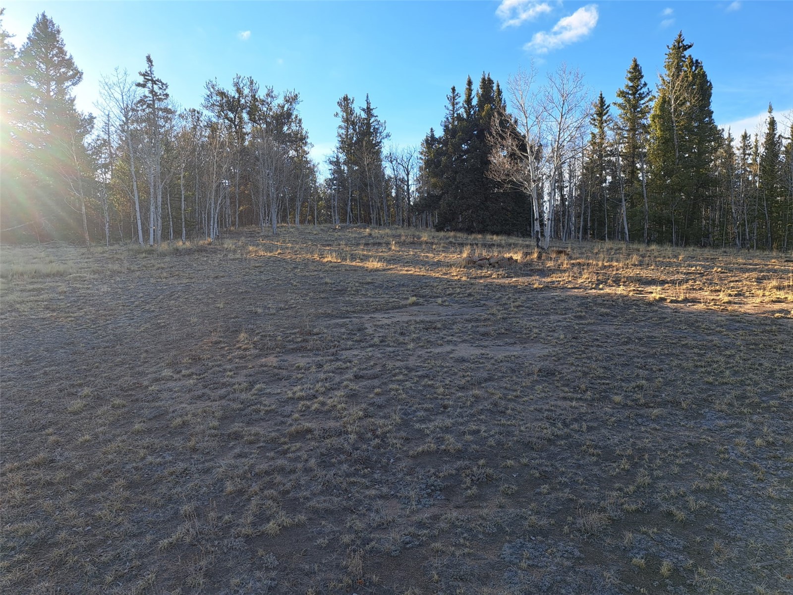 1645 Chippewa Road Como, CO 80456 - Photo 22 of 30