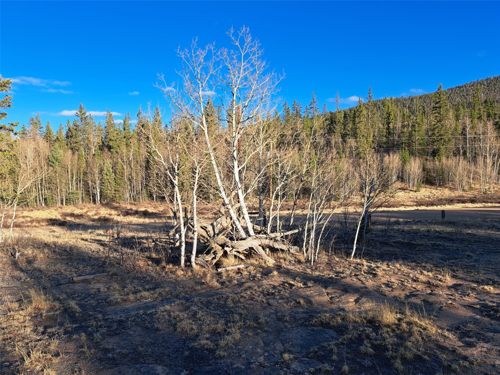 1645 Chippewa Road Como, CO 80456 - Photo 24 of 30