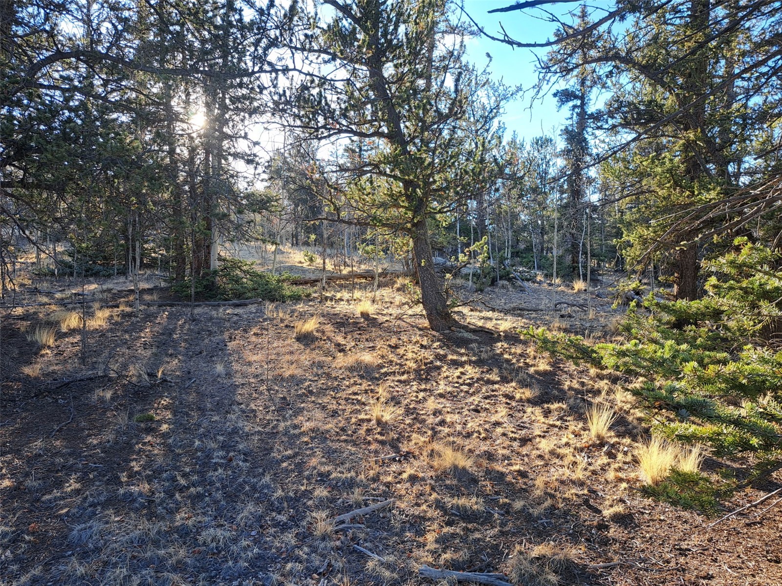 1645 Chippewa Road Como, CO 80456 - Photo 27 of 30