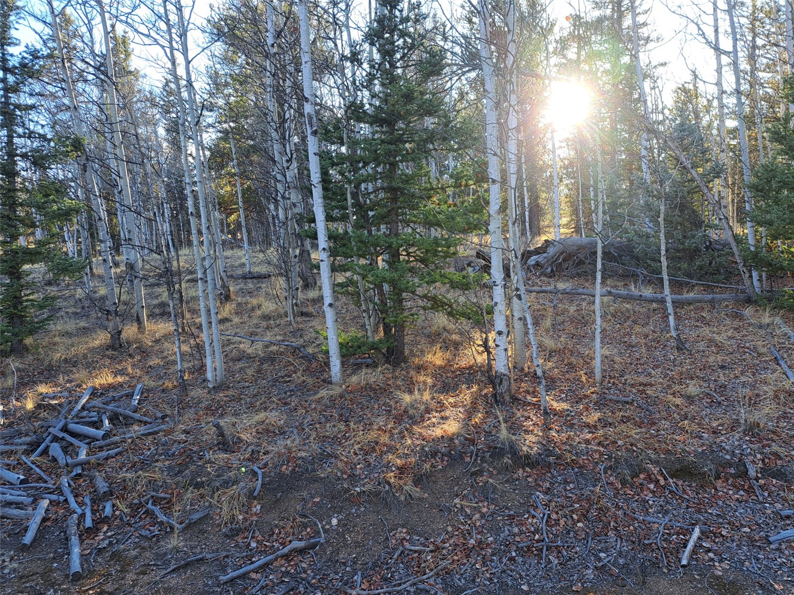 1645 Chippewa Road Como, CO 80456 - Photo 28 of 30