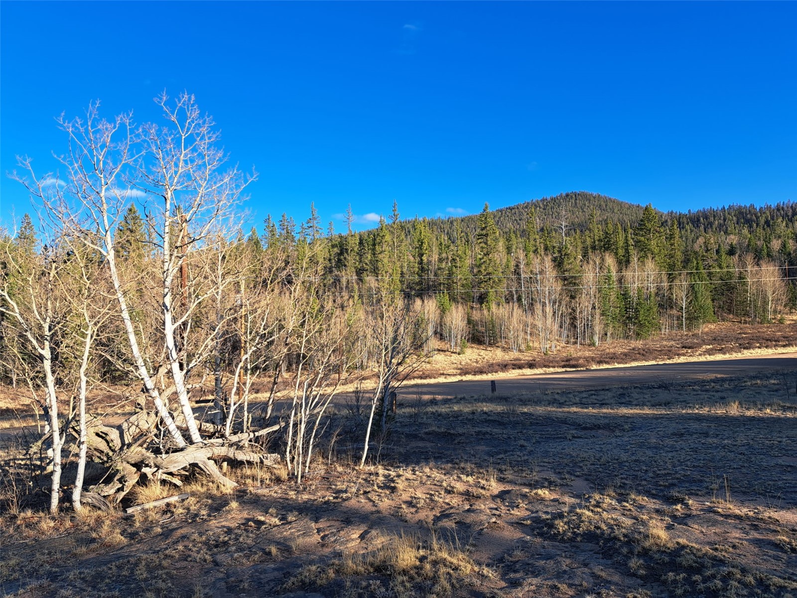 1645 Chippewa Road Como, CO 80456 - Photo 8 of 30