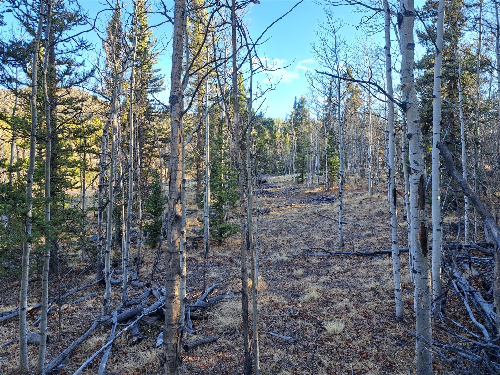 1645 Chippewa Road Como, CO 80456 - Photo 10 of 30