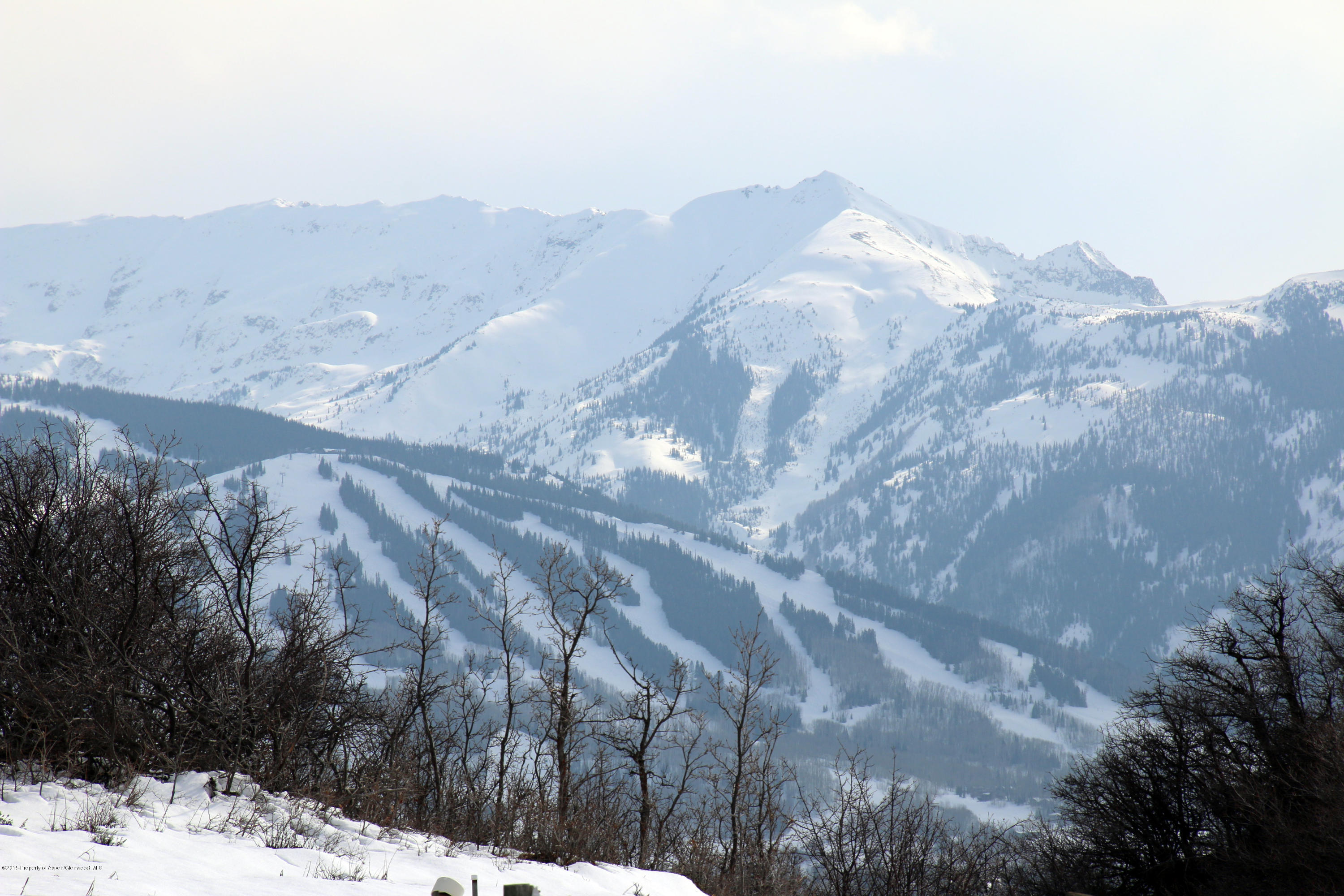 4000 Juniper Hill Road Aspen, CO 81611 - Photo 37 of 63 a view of a dry yard