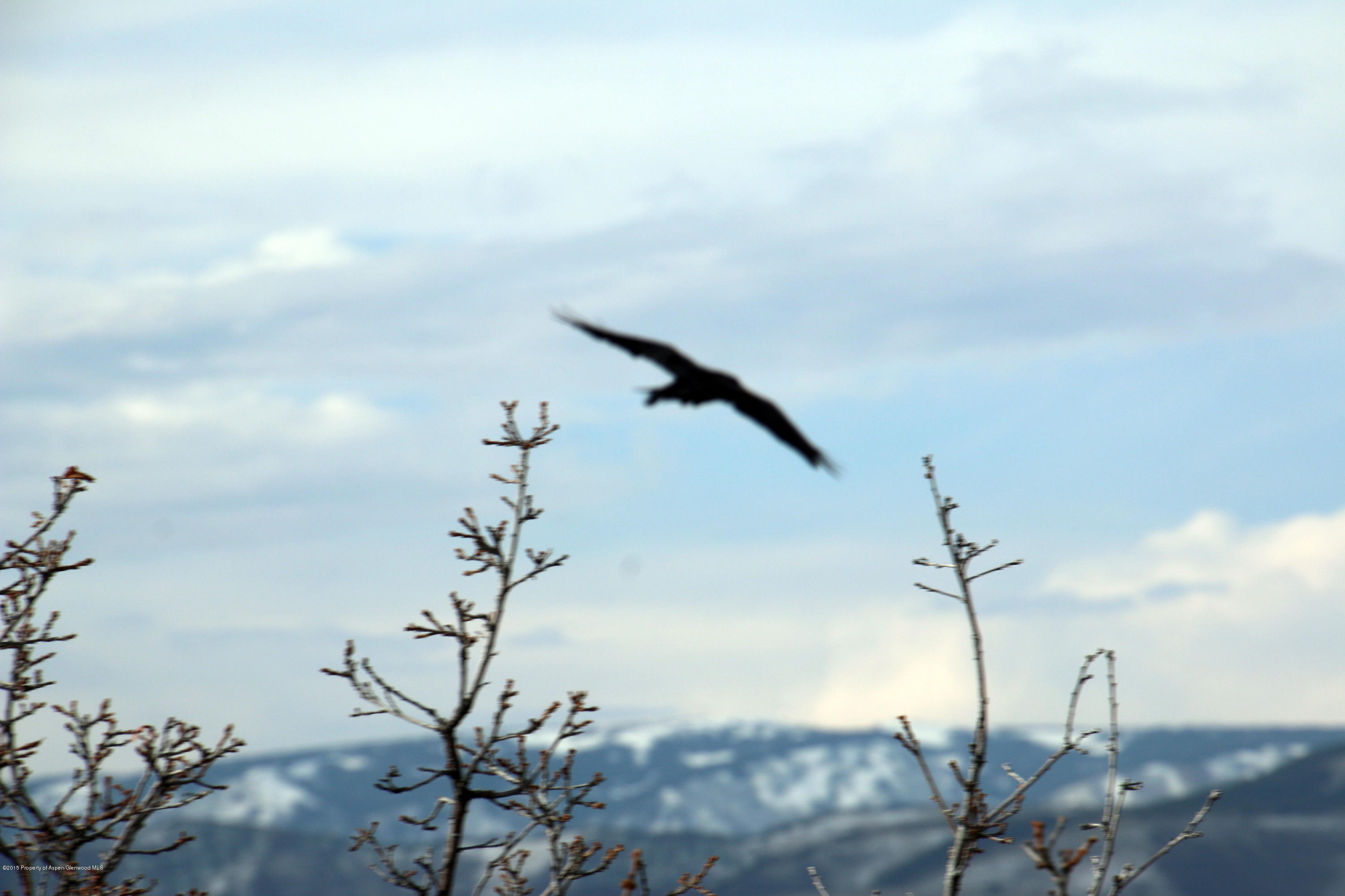 4000 Juniper Hill Road Aspen, CO 81611 - Photo 45 of 63 a view of a lake