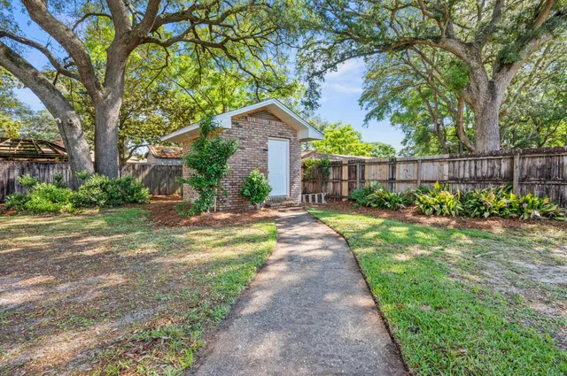 a view of a backyard with plants and large trees