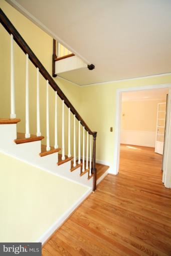 5102 Roland Avenue Baltimore, MD 21210 - Photo 14 of 27 IEntrance hall