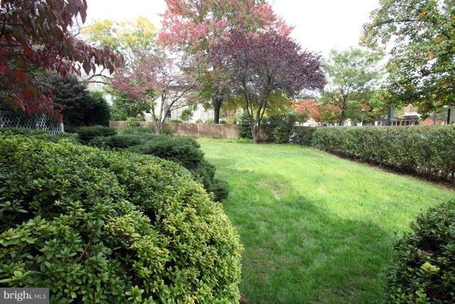 Front yard