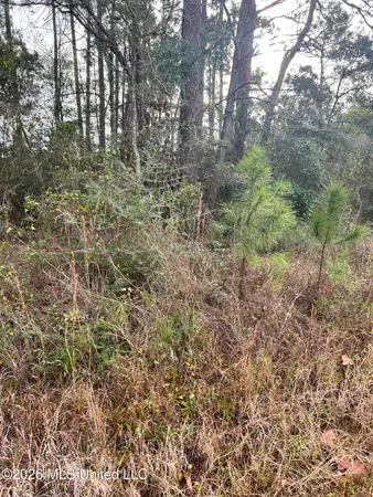$9,500 | Chestnut St Pass, Pass Christian, MS 39571