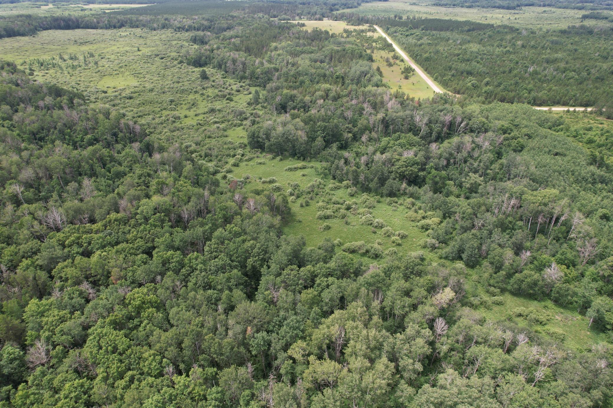 Tbd 350th Street Sebeka, MN 56477 - Photo 29 of 100