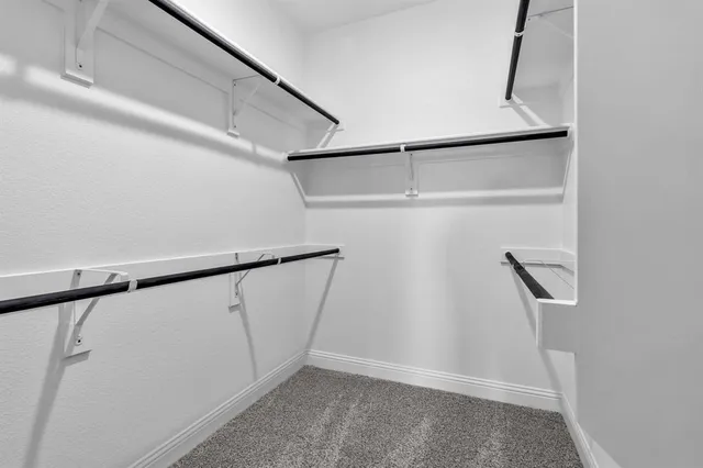 a bathroom with a shower and a sink