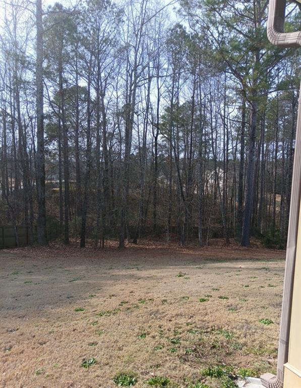 307 Cinnamon Bark Pass Locust Grove, GA 30248 - Photo 5 of 26 a view of a backyard