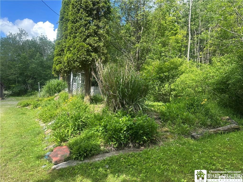 13170 Transit Line Road Concord, NY 14141 - Photo 26 of 27