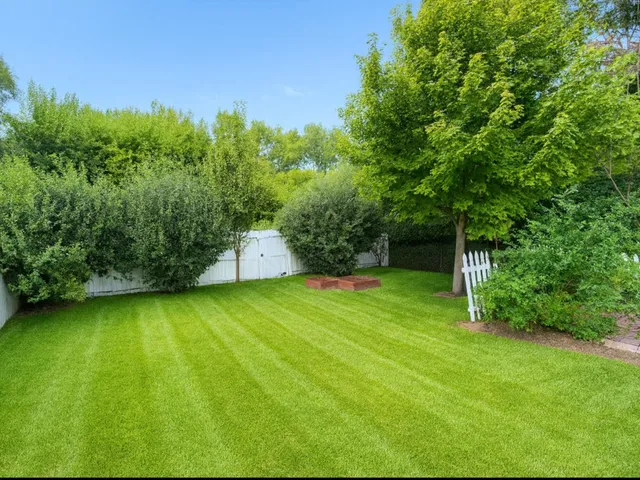 a backyard of a house with plants and large trees