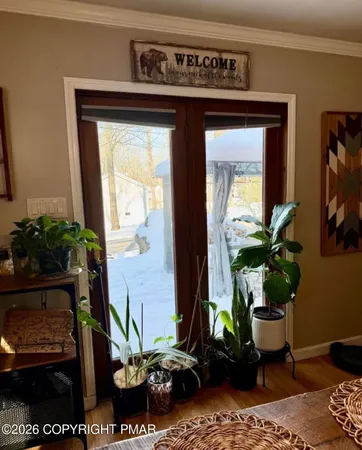 a potted plant sitting on top of a wooden floor