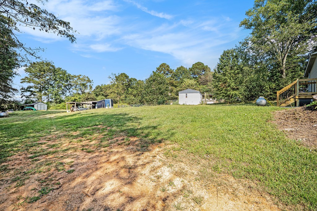 359 Norton Bridge Road Chatsworth, GA 30705 - Photo 28 of 28 a view of a grassy field with trees