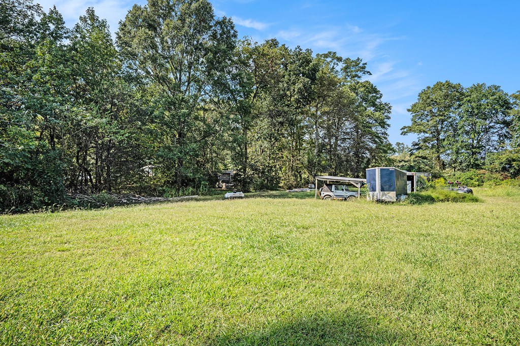 359 Norton Bridge Road Chatsworth, GA 30705 - Photo 3 of 28 a house view with a outdoor space