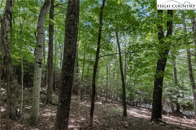 $359,900 | 682 Stonebridge Lane, Todd, NC 28684