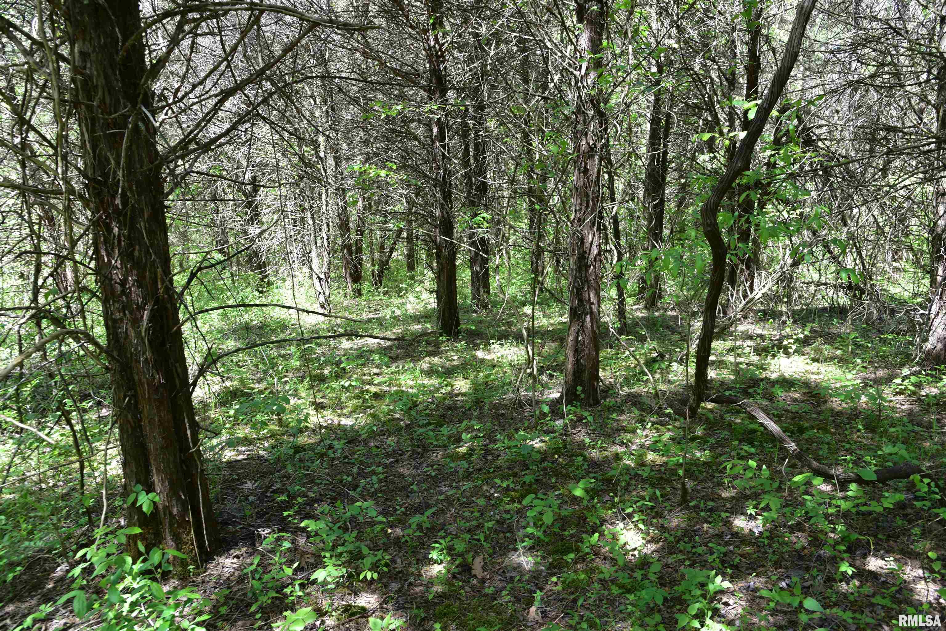 119 Airport Road Simpson, IL 62985 - Photo 59 of 65 Gallery Image 59