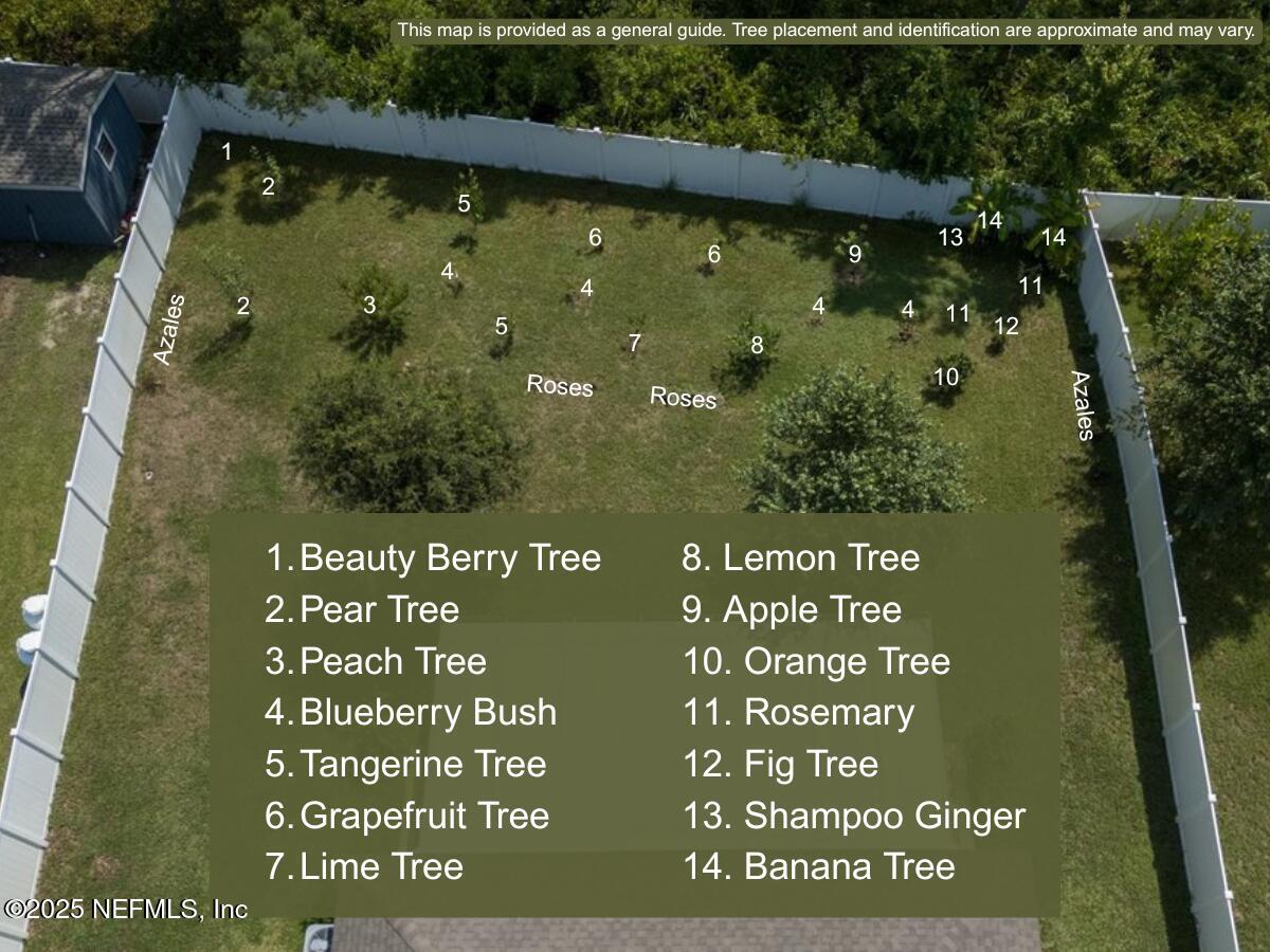 88 North Hamilton Springs Road St. Augustine, FL 32084 - Photo 50 of 73 Beauty Berry Tree-2