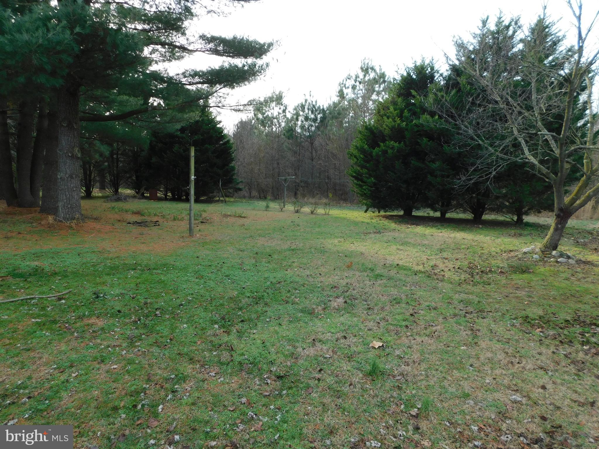 9522 Rum Ridge Road Delmar, MD 21875 - Photo 32 of 34