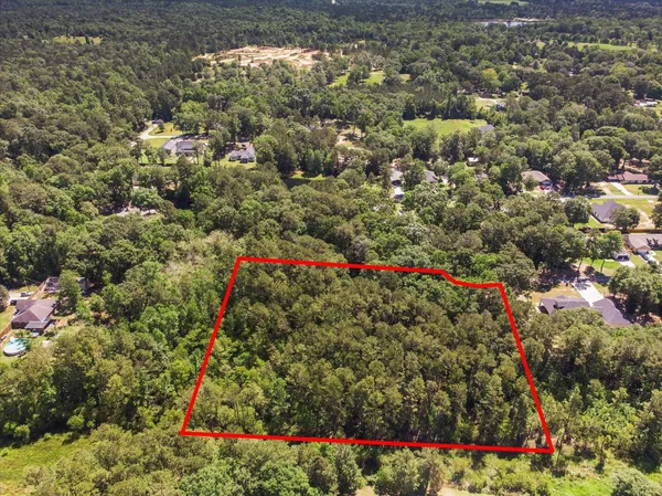 a view of a park with large trees