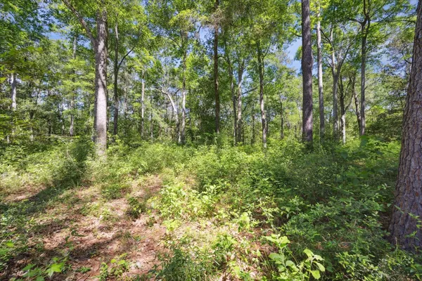 $145,000 | 187 County Road 3669 North, Splendora, TX 77372